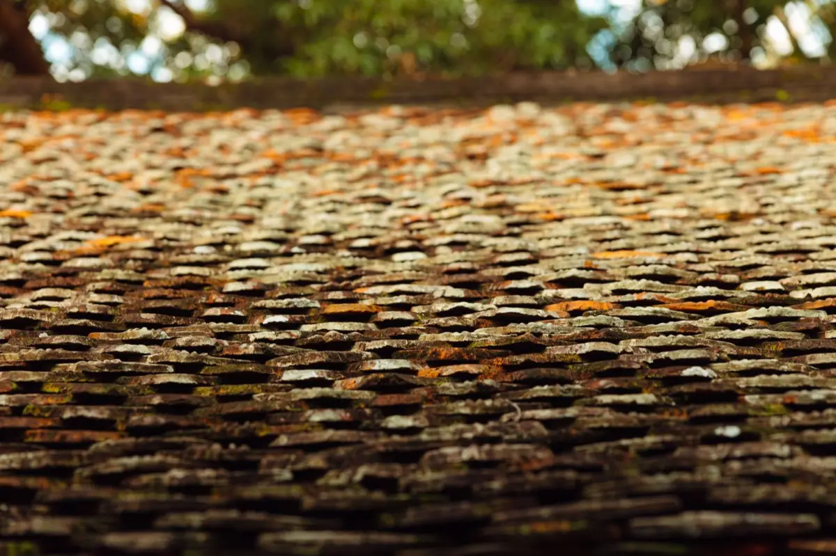 Aging shingle roof with moss growth and granule loss in Detroit, MI